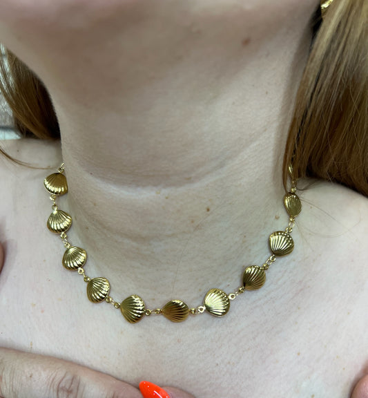 Collar Concha